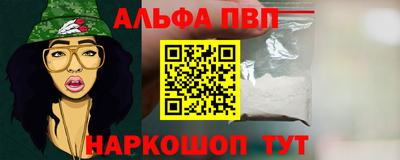спиды Гатчина