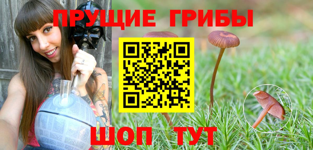 Надым  Галлюциногенные грибы мицелий  Вход с VPN 